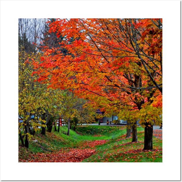 Bright Orange Fall Colors Wall Art by KirtTisdale